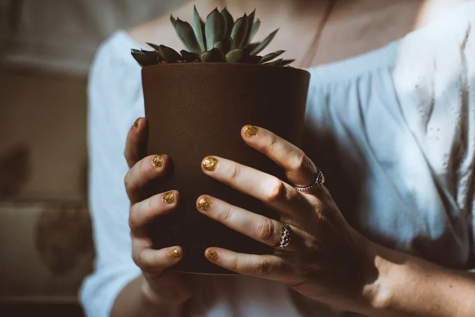 Bordowe Paznokcie Ze Złotym: 15 Eleganckich Inspiracji na Każdą Okazję