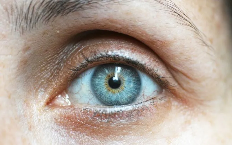 Jak Zrobić Makijaż Wieczorowy Smoky Eyes? Kompletny Poradnik Krok Po Kroku