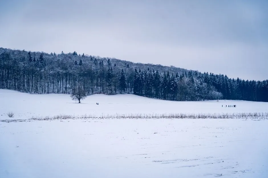 Pielęgnacja Dłoni Zimą w Domu: 5 Domowych Sposobów na Gładką Skórę