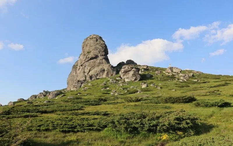 Jak odzyskać energię bez kawy? 7 naturalnych sposobów na witalność