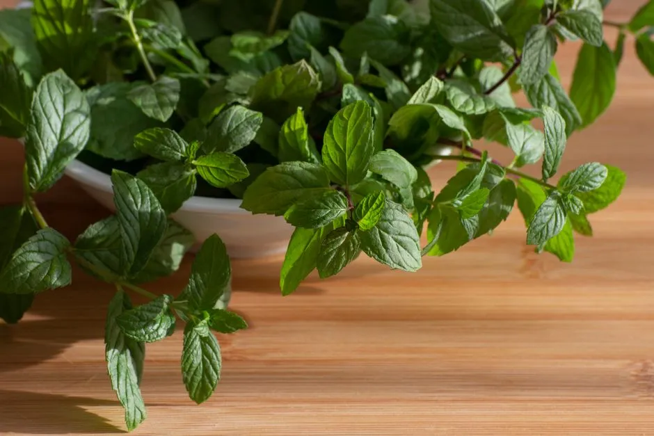 7 naturalnych adaptogenów, które pomogą Ci zarządzać stresem i zmęczeniem